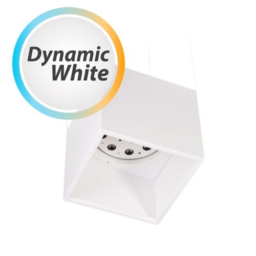 Rotor Suspension Cube Dw